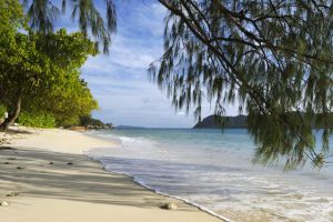 ������������ ������